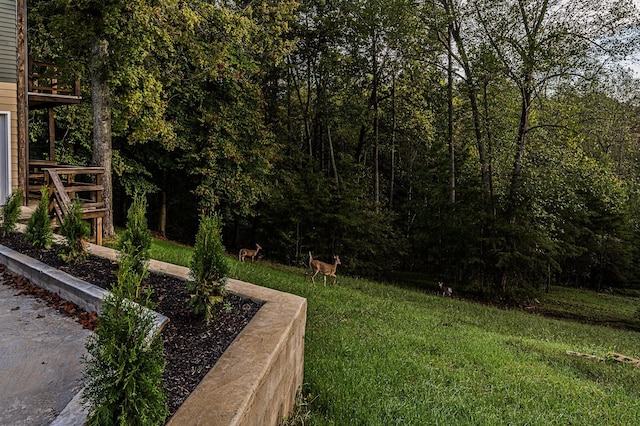 1020 Canyon Run Rd, Lewisburg, KY 42256 - photo 33