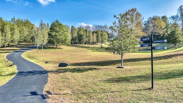 view of property's community featuring a lawn