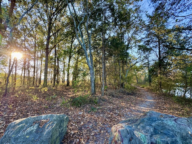 view of landscape