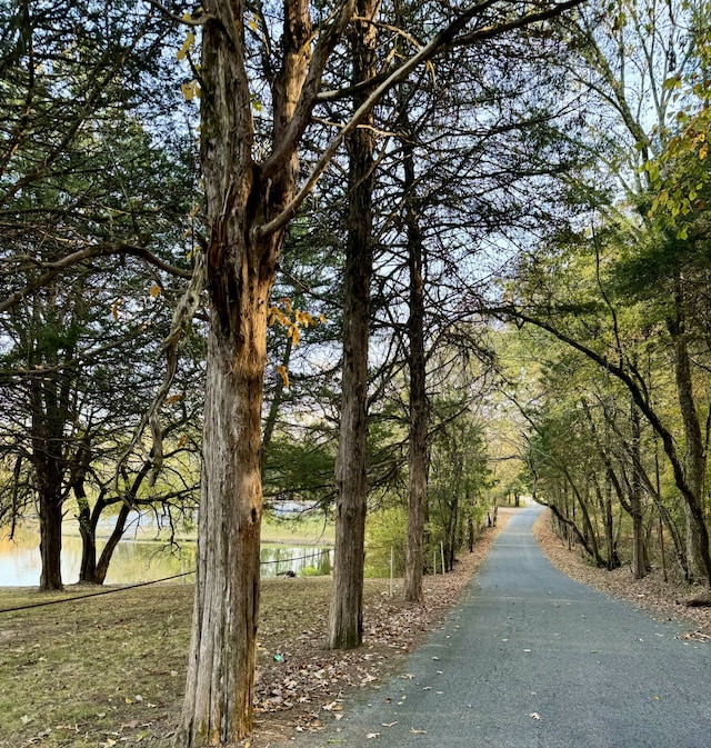 view of street with a water view