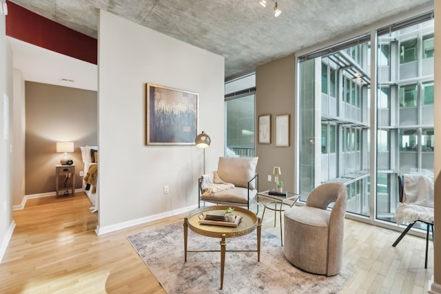 sitting room featuring hardwood / wood-style floors