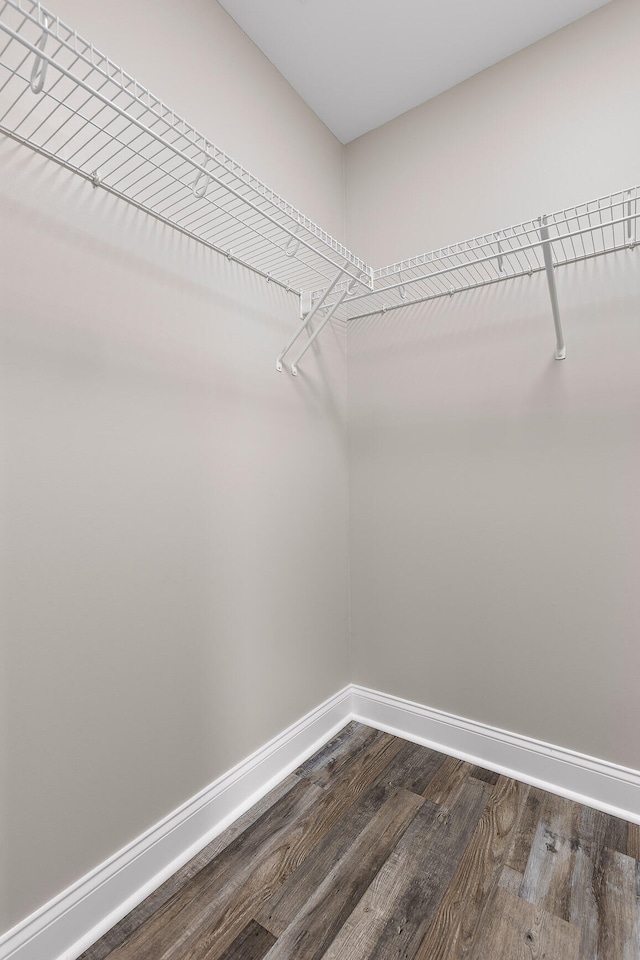 spacious closet featuring hardwood / wood-style floors