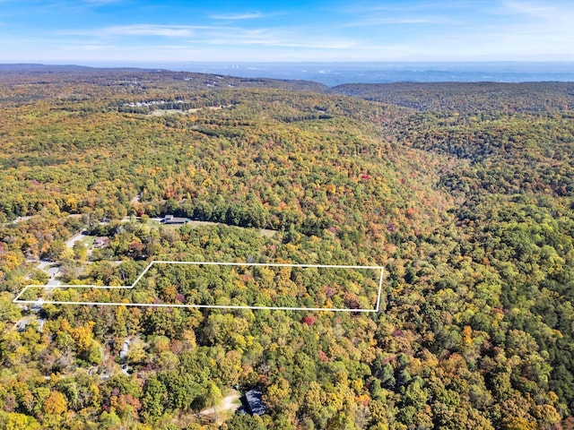 2424 Corral Rd, Signal Mountain, TN 37377