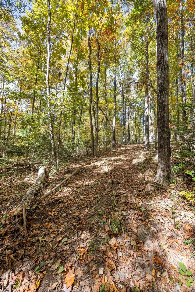 2424 Corral Rd, Signal Mountain, TN 37377
