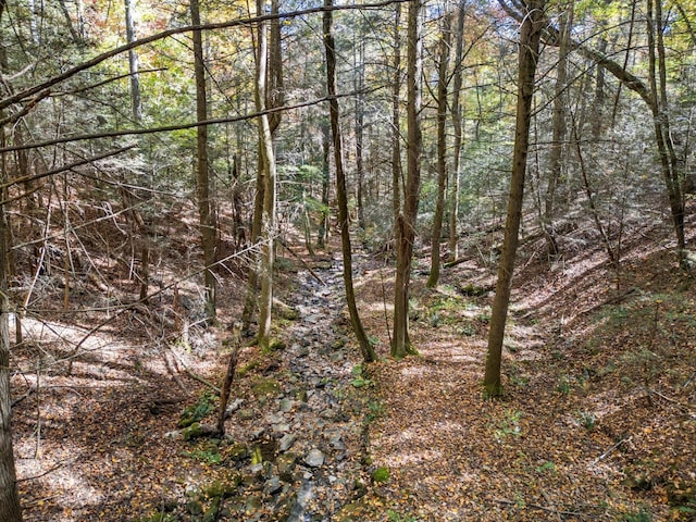 2424 Corral Rd, Signal Mountain, TN 37377