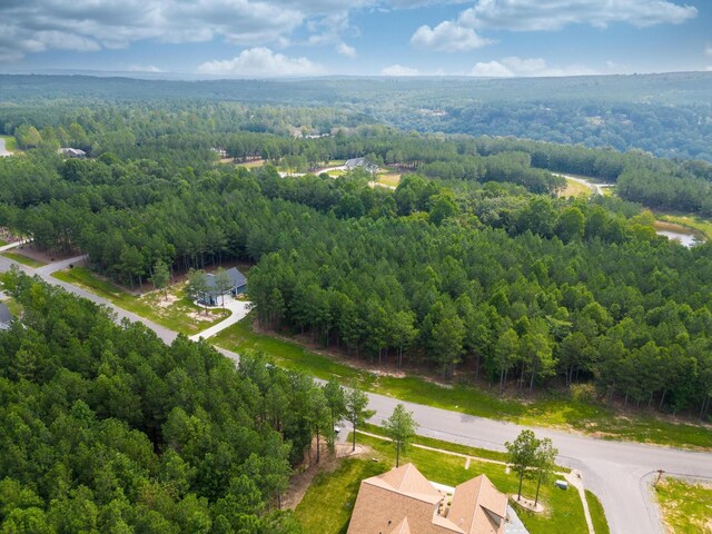 3525 Crockett Pt, Jasper, TN 37347 - photo 7
