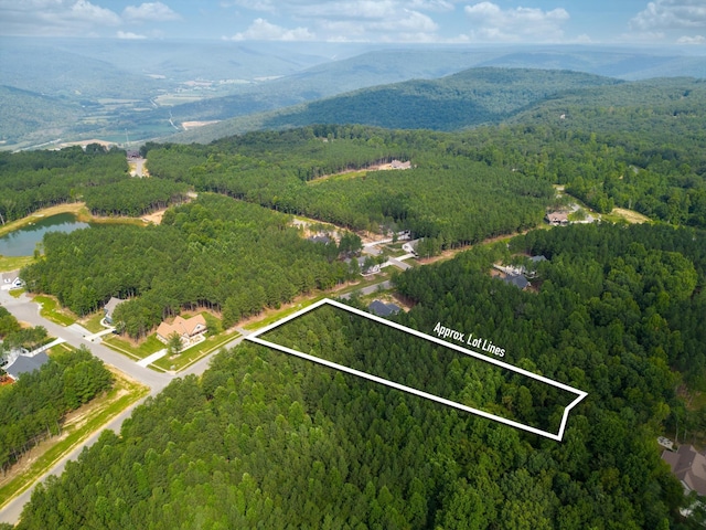 3525 Crockett Pt, Jasper TN, 37347 land for sale