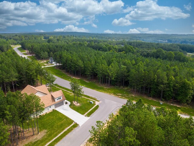 3525 Crockett Pt, Jasper, TN 37347 - photo 5
