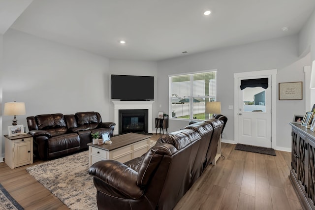 living room with light hardwood / wood-style floors