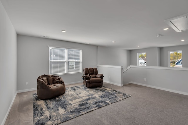 living area featuring carpet flooring