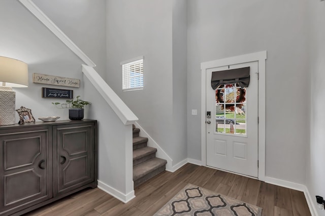 entryway with hardwood / wood-style flooring, plenty of natural light, and a towering ceiling