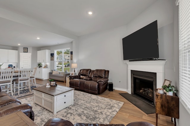 living room featuring light hardwood / wood-style flooring