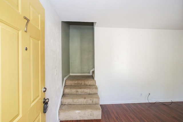 staircase featuring wood-type flooring