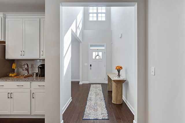 foyer featuring dark wood-type flooring and a wealth of natural light