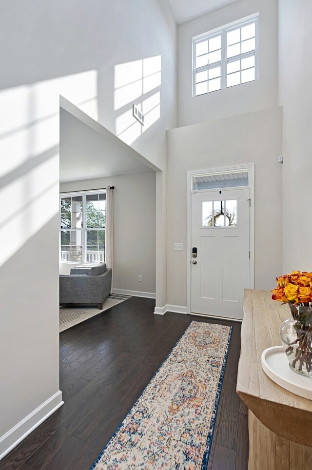 foyer featuring dark hardwood / wood-style flooring, a high ceiling, and plenty of natural light