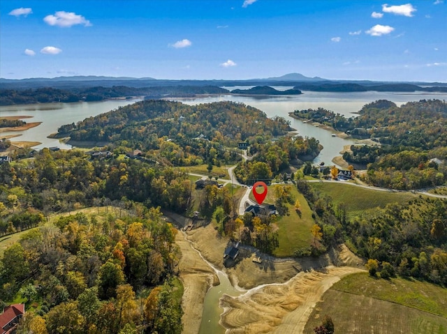 1878 Ferry Hill Rd, Dandridge, TN 37725 - aerial overview of property's location featuring a large body of water and a forest