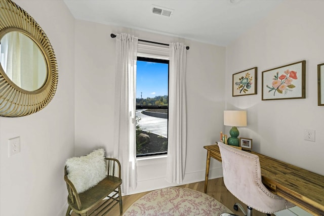 office space featuring light hardwood / wood-style floors and plenty of natural light