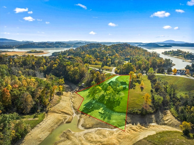 drone / aerial view with a water and mountain view