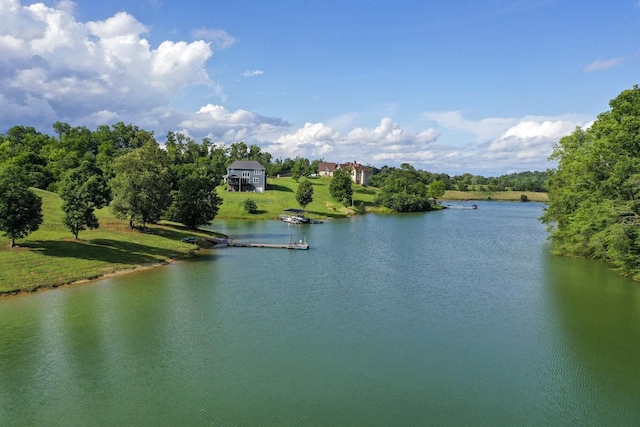 1878 Ferry Hill Rd, Dandridge, TN 37725 - water view with a dock