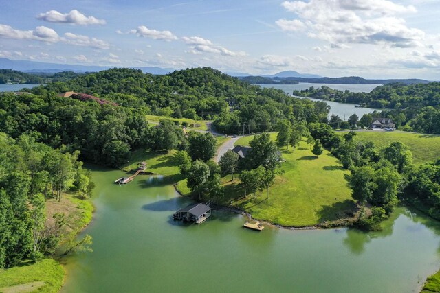 1878 Ferry Hill Rd, Dandridge, TN 37725 - aerial view of a water and mountain view and a forest