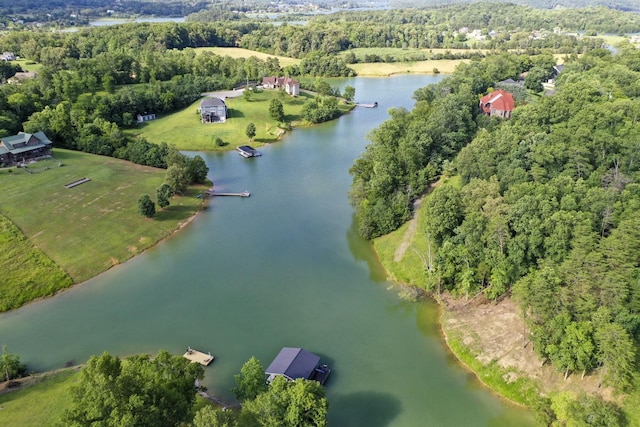 1878 Ferry Hill Rd, Dandridge, TN 37725 - aerial view of property's location with a nearby body of water and a forest
