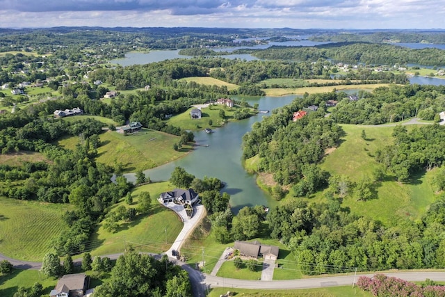 1878 Ferry Hill Rd, Dandridge, TN 37725 - view of property location with a large body of water and a heavily wooded area