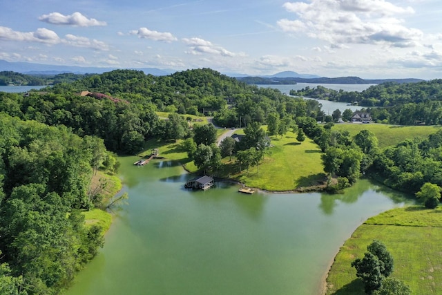 1878 Ferry Hill Rd, Dandridge, TN 37725 - bird's eye view of a large body of water