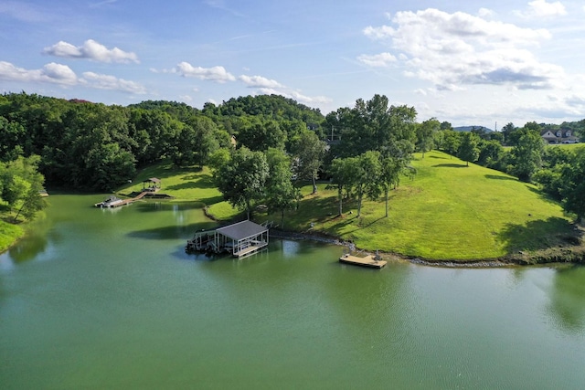 1878 Ferry Hill Rd, Dandridge, TN 37725 - bird's eye view of a nearby body of water