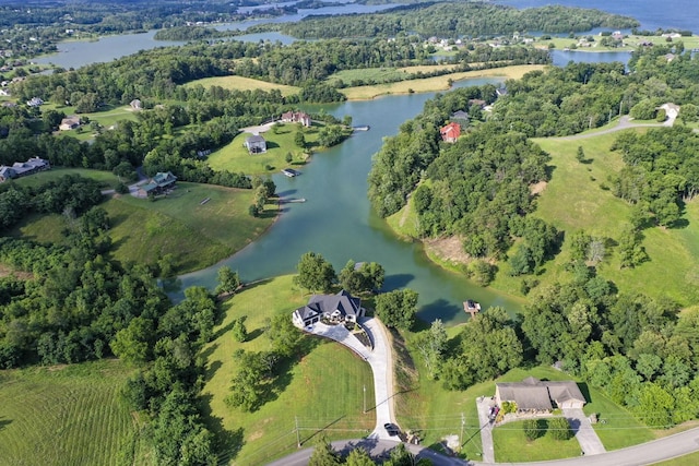 1878 Ferry Hill Rd, Dandridge, TN 37725 - aerial overview of property's location featuring a nearby body of water