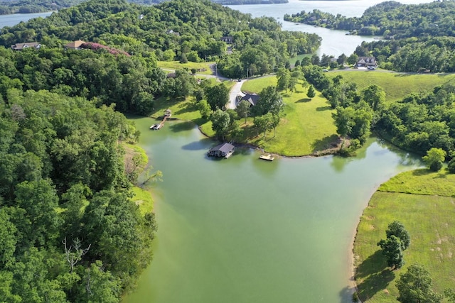 1878 Ferry Hill Rd, Dandridge, TN 37725 - aerial view of property and surrounding area featuring a nearby body of water and a heavily wooded area
