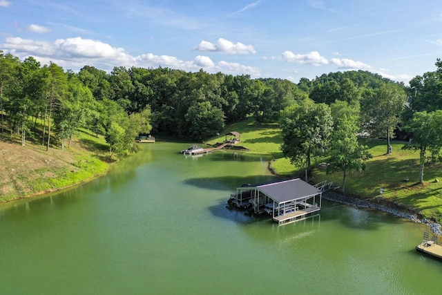 1878 Ferry Hill Rd, Dandridge, TN 37725 - bird's eye view of a large body of water