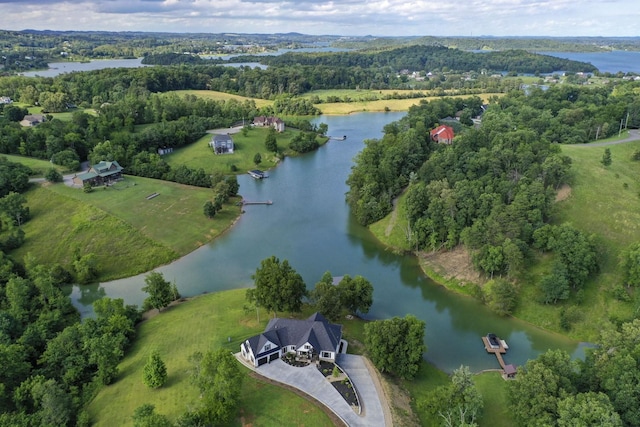 1878 Ferry Hill Rd, Dandridge, TN 37725 - view of property location featuring a nearby body of water and a forest