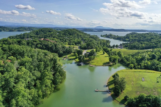 1878 Ferry Hill Rd, Dandridge, TN 37725 - drone / aerial view of a water and mountain view and a heavily wooded area