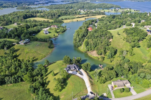 1878 Ferry Hill Rd, Dandridge, TN 37725 - aerial overview of property's location featuring a large body of water and a forest