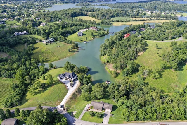 1878 Ferry Hill Rd, Dandridge, TN 37725 - aerial overview of property's location with a nearby body of water