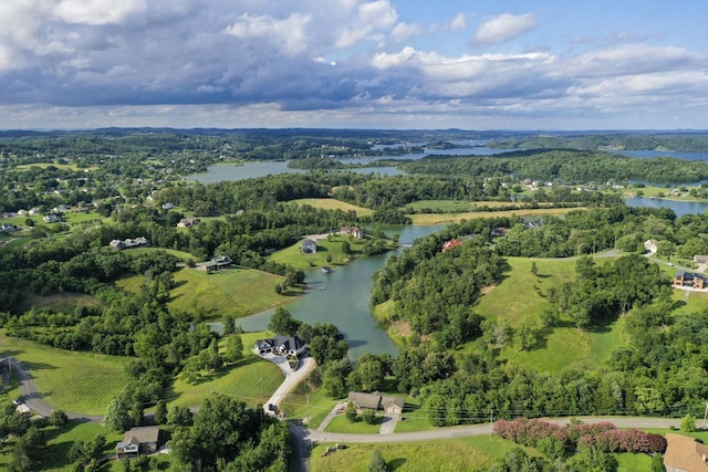 1878 Ferry Hill Rd, Dandridge, TN 37725 - bird's eye view of a large body of water and a heavily wooded area