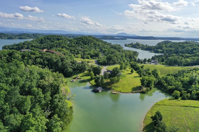 1878 Ferry Hill Rd, Dandridge, TN 37725 - aerial view of a nearby body of water and a heavily wooded area