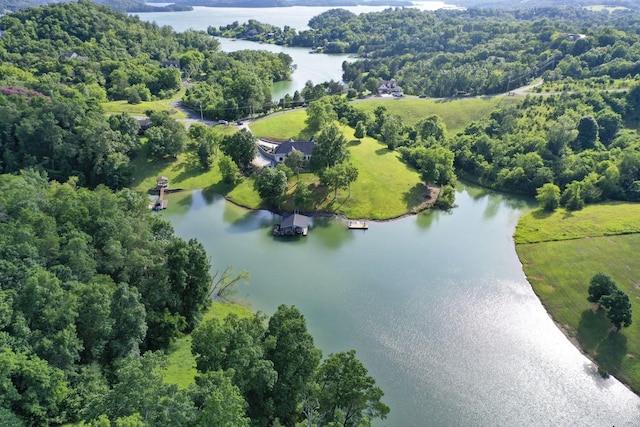 1878 Ferry Hill Rd, Dandridge, TN 37725 - drone / aerial view of a nearby body of water