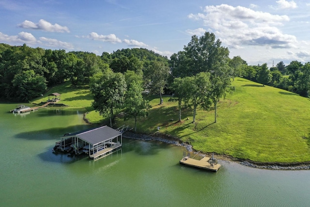 1878 Ferry Hill Rd, Dandridge, TN 37725 - aerial view of a large body of water