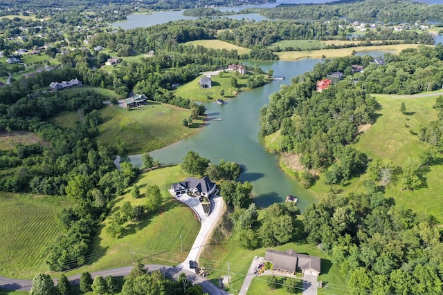 1878 Ferry Hill Rd, Dandridge, TN 37725 - aerial overview of property's location featuring a nearby body of water and a heavily wooded area