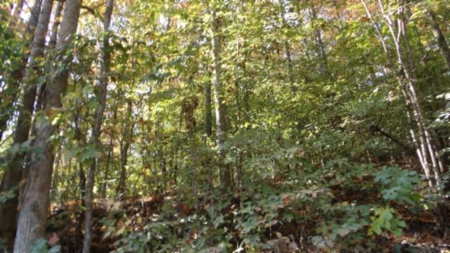 0 Moss Arcot Rd, Celina, TN 38551
