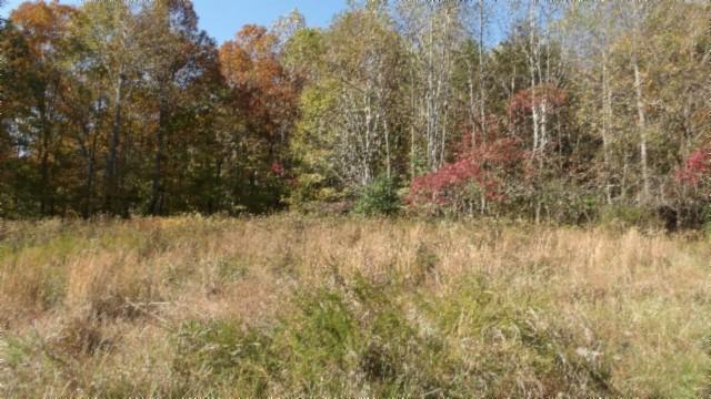 0 Moss Arcot Rd, Celina, TN 38551