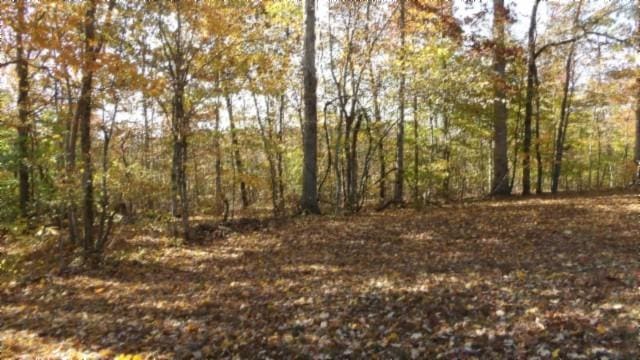 0 Moss Arcot Rd, Celina, TN 38551