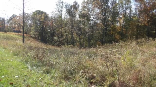 0 Moss Arcot Rd, Celina, TN 38551