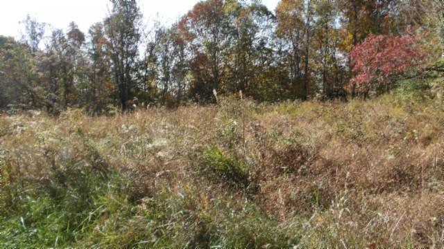 0 Moss Arcot Rd, Celina, TN 38551