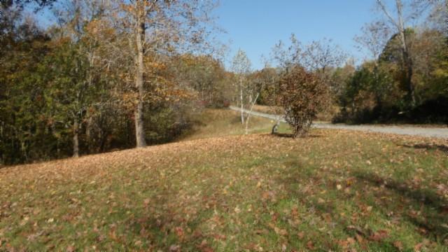 0 Moss Arcot Rd, Celina, TN 38551