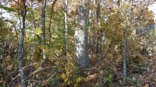 0 Moss Arcot Rd, Celina, TN 38551