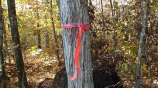 0 Moss Arcot Rd, Celina, TN 38551