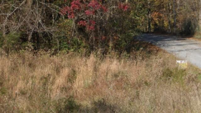 0 Moss Arcot Rd, Celina, TN 38551