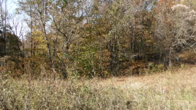 0 Moss Arcot Rd, Celina, TN 38551